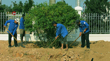 Đoàn Thanh niên Thiên Tân Group tích cực trồng cây xanh
